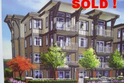 newALSeeEdit_new사진 019