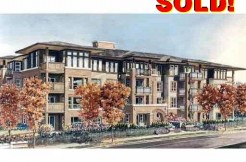 ALSeeEdit_V593283_101_12(0)