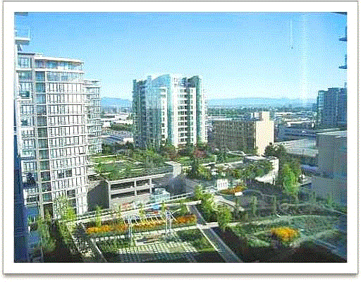 ‘LOTUS’ by CRESSEY